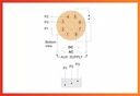 P1-LCW1-Electrical-Connection-Diagram