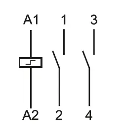 Extra Image for 2022.webp